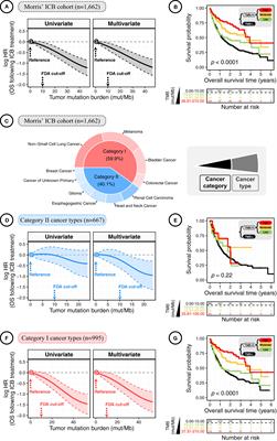 Dose-Dependent Effect of Tumor Mutation Burden on Cancer Prognosis Following Immune Checkpoint Blockade: Causal Implications